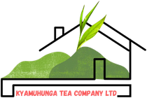 Kyamuhunga Tea Company
