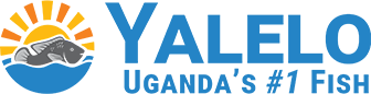 Yalelo